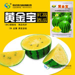 黄金宝- 黄壤礼品西瓜种子 含糖13以上 少籽 露天种植盆栽约50粒