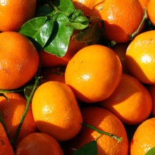 【橘子产地】橘子产地价格\/图片_橘子产地批发