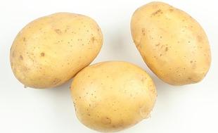 农家自种新鲜黄心土豆批发非转基因有机食品马铃薯薯仔洋芋山药蛋