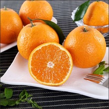 【黄橘子】黄橘子价格\/图片_黄橘子批发\/采购