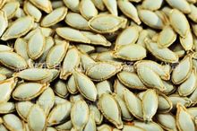 Hạt bí ngô, hạt bí ngô thô, hàng khô, hạt bí ngô số lượng lớn, nguồn đầu tiên, hạt giàu selen Hạt đậu phộng