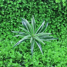 Nhà máy trực tiếp hoa giả cây xanh trong nhà trang trí tường cây cỏ mô phỏng treo lá phong lan cây nhện nhỏ Nhà máy mô phỏng