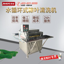 粽叶清洗机 洗粽叶机器 粽子生产专用粽叶清洗机 选九江精业牌