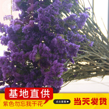 Ngày của phụ nữ Stocking Vân Nam Hoa khô Bán buôn hoa khô Quên-tôi-không Một kg hoa khô và không quên Sản phẩm hoa
