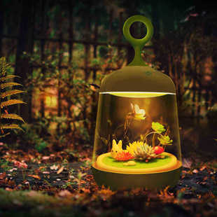 新奇特DIY盆栽小夜灯 创意儿童微景观植物灯充电led卧室氛围灯
