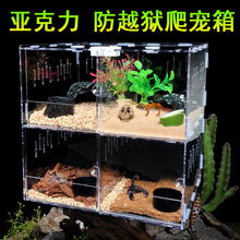 Hộp chăn nuôi bò sát acrylic trong suốt hộp bò sát hộp ngô rắn hộp nhỏ triển lãm vật nuôi nuôi bọ cạp nở giống hộp Đồ dùng cho thú cưng khác