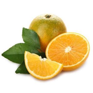 现货平和桂花橙香橙代理批发新鲜水果甜橙子
