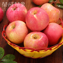 Frost drop trái cây đỏ Fuji 8085mm năm pound hỗn hợp, táo xấu xí đặc biệt cung cấp một thế hệ Táo