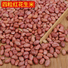 Bốn đậu phộng đỏ bán buôn bốn da đỏ đậu phộng thô nông dân hạt nhỏ da đỏ đậu phộng hạt Hạt đậu phộng