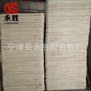 厂家生产杨木胶合板卧铺用床板 环保耐用杨木胶合板批发