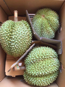 榴莲批新鲜整箱