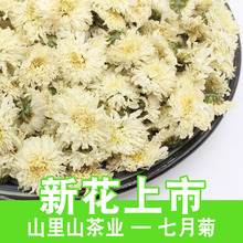 Cơ sở cung cấp trực tiếp Hoàng Sơn Gongju Trà hoa cúc Số lượng lớn trà thảo dược bán buôn Tháng bảy hoa cúc mặt trời hoa cúc trắng Trà bốn mùa