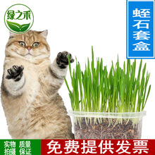 Bán buôn Handmade Cat Grass Set Crystal Mud Set Cat Grass Handmade Cat Snacks Cat Grass Plant Set Đồ ăn nhẹ cho mèo