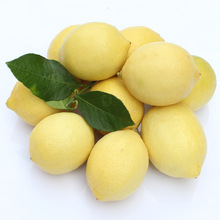 Một quả chanh nhỏ quả chanh vàng tươi 1 kg 6-7 5 kg từ bán buôn Chanh