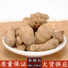 中药材水田七 水三七 土三七 屈头鸡 水虾公 山大黄 马老头
