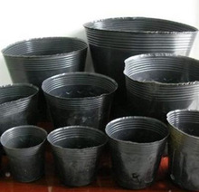 Dinh dưỡng 钵 Bán buôn chất lượng Cup dinh dưỡng dày nhựa đen ươm bát mẫu giáo mầm non trực tiếp nhà máy Bình hoa