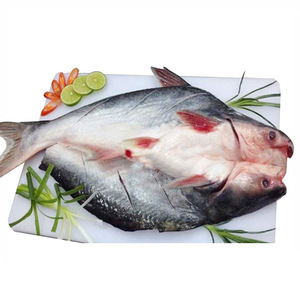 越南进口开背巴沙鱼20斤 11条冷冻湄公鱼烤鱼