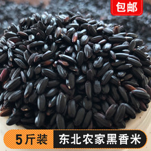 Gạo đen Đông Bắc chính hãng gạo thơm hạt thô 5 kg hạt linh tinh Đặc sản vùng đông bắc kiềm gạo cháo gạo Hắc Long tự sản xuất Gạo đen