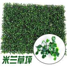 Mô phỏng Milan cỏ cây tường trang trí nội thất tường nhựa nhân tạo cỏ giả xanh cây xanh nhân tạo cỏ xanh Sân cỏ nhân tạo