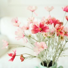 Gesang Cosmos cưới nhân tạo hoa lụa hoa trang trí đạo cụ chụp ảnh sáng tạo cầm hoa hoa nhân tạo các nhà sản xuất bán buôn Cầm hoa