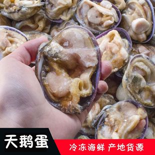 天鹅蛋 紫石头房蛤 冷冻海鲜 产地原料 进口货源