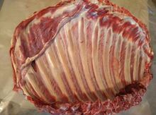 梅花鹿鲜鹿肉 鲜鹿排 新鲜鹿肉新鲜鹿排速冻鹿肉清真鹿肉梅花鹿肉