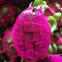 Việt Nam Trái tim đỏ Trái cây Mùa tươi Trái cây 5 gói Thịt đỏ Trái cây Mùa đầy đủ Bán buôn Hộp Thanh long
