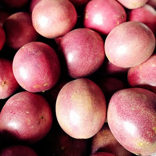 土楼虹特级百香果 新鲜水果农场直供 一件代发 价格优惠 品质保证
