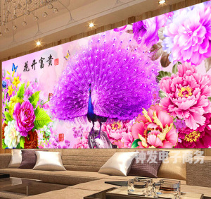 孔雀开屏图