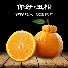 【丑橘】丑橘价格\/图片_丑橘批发\/采购_丑橘厂
