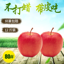 [静] Gansu Jingning táo đỏ tươi Fuji 18 với bao bì 10 kg Tết Trung thu Ngày tết Táo