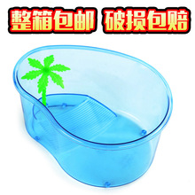 xi lanh rùa Yanggui xi lanh nhỏ với một bể mái bằng Vua mở nhựa rùa rùa Vivo cassette ăn Bể cá cảnh