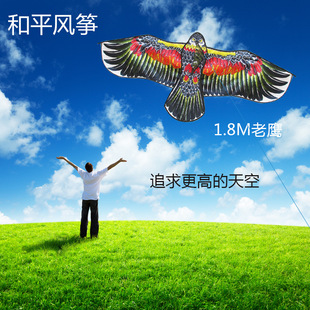 厂家直销  潍坊风筝 1.8米热转移印花亮光布料平面花鹰风筝