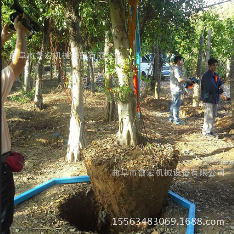 林业机械-链条式断根挖树机视频大马力移苗机图鲁视频阿图片
