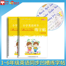 Cat Taizi Tiếng Anh Trẻ em 字字 帖 板 Sách giáo khoa tiếng Anh lớp 1-6 Bán buôn Sách thực hành