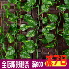 仿真绿萝叶藤大条万年青叶藤常春藤仿真花仿真植物