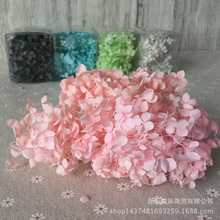 [Hoa vĩnh cửu Hoa cẩm tú cầu] Anna Xiaoye Hoa cẩm tú cầu Bán buôn Hộp vật liệu hoa tự làm Sản phẩm hoa