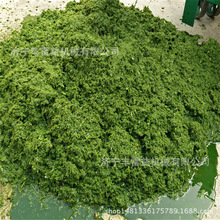 牧草制浆机 高效率成浆机 青饲料制浆机 鲜草青秸秆粉碎机