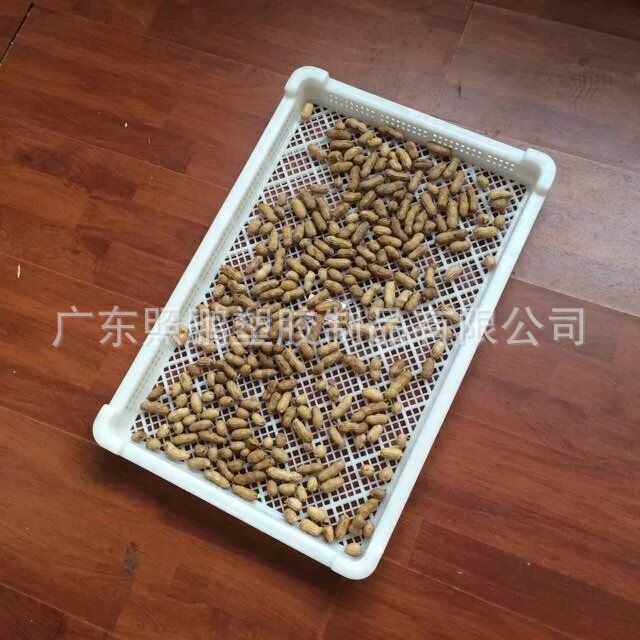 塑料烘盘_供应食品级耐高温塑料网盘 1号密眼