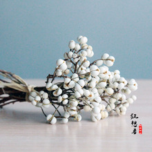 Mad thinker [cây bạch quả nhỏ / cỏ nấm] Mori hoa khô tự nhiên cành khô hoa thật nhỏ đậu trắng tự làm trang trí nhà Sản phẩm hoa