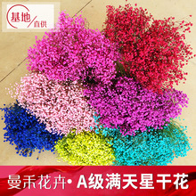 [] Hoa Starry khô Yunnan hoa khô cung cấp trực tiếp mười triệu Star City cơ sở mất một triệu ngôi sao bó hoa mức AA Hoa khô hay