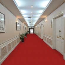 Nhà sản xuất thảm cưới thảm tùy chỉnh dùng một lần thảm đỏ 1mm100 gram sân khấu sự kiện triển lãm cưới Thảm / thảm sàn