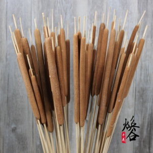 蒲棒 江西九江优质蒲棒 水蜡烛 适合搭配莲蓬荷花高粱 干花批发