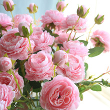 Hoa hồng phương Tây lõi 3 hoa mẫu đơn nhà sản xuất hoa nhân tạo trang trí nhà đám cưới tường hoa giả MW51010 Hoa hồng mô phỏng