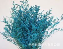người yêu lãng mạn Qingren Cao lễ món quà Qingren Cao đa màu hoa hoa khô trang trí nhà Qingren Cao Hoa khô hay