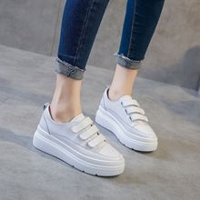 Giày da mùa xuân và mùa hè mới 2019 Giày trắng Velcro Phiên bản Hàn Quốc thoải mái hoang dã thoải mái tăng đế dày đế giày nữ Giày cao