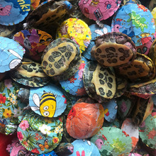 Bán rùa đầy màu sắc để xem mặt đất màu đỏ với con rùa Brazil sơn nhà máy rùa nhỏ đầy màu sắc trực tiếp Bể cá cảnh