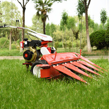 Máy cắt chiều rộng 120cm Máy cắt và cắt cỏ mía Máy cắt xăng / diesel Máy thu hoạch