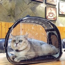 Ba lô gói mèo con chó con vật cưng và mèo đi du lịch ra phổ biến trong suốt túi gập trong suốt túi thở vật nuôi mèo Túi mèo