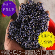 2018 Lavender khô hoa có nguồn gốc trực tiếp Yili sáu mươi lăm nhóm sản xuất hoa mỗi lớp hoa oải hương khô Hoa khô hay